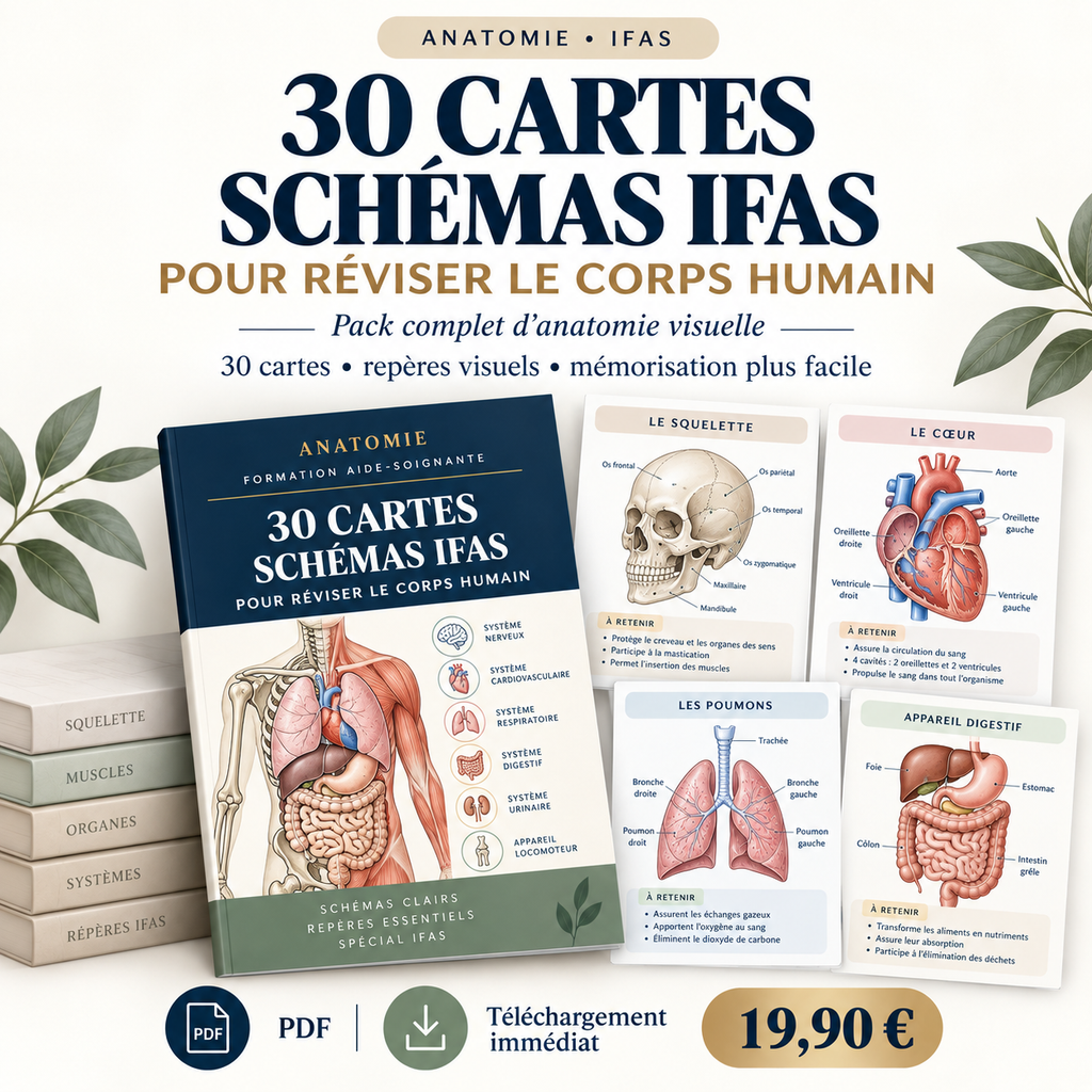Pack de 30 cartes anatomie IFAS pour réviser le corps humain, schémas détaillés